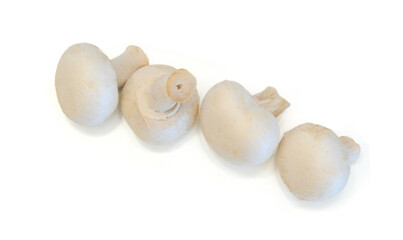 A sections of mushroom on white