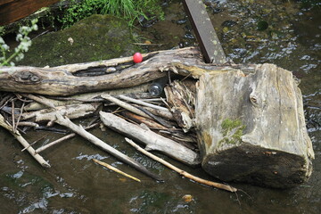 Müll im Naturschutzgebiet