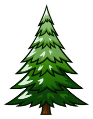 PNG Christmas tree christmas plant pine.