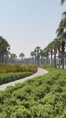 Urban greenery blends nature with city design, offering refreshing spaces surrounded by trees and plants. Modern architecture harmonizes with natural elements for a sustainable cityscape.