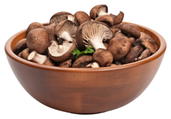 PNG Mushroom bowl brown white background.