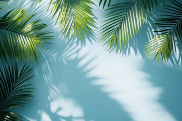 Obraz premium Beautiful palm leaves on a blue background, with a shadow effect. Background, banner, wallpaper