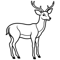 Hand draw Deer vector, line art, silhouette ,black and white