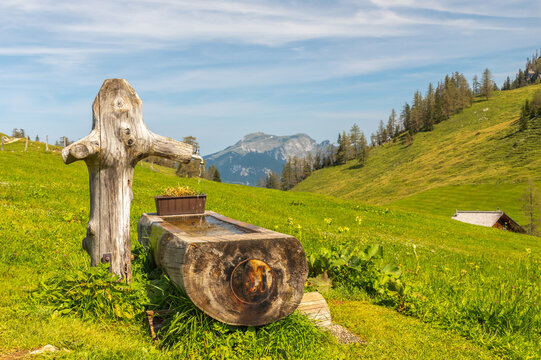 landscape with wooden drinking trough, pastures and mountains, view of Mount Schafberg, Postalm plateau, Austria
