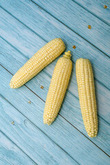 Fresh Sweet Corn on Rustic Blue Wooden Background