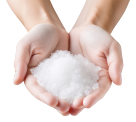 PNG Sea salt hand holding white.