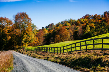 Autumn fall foliage leaves in the Vermont countryside. Colorful trees and forests in the changing...
