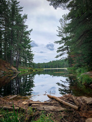 Beaver Trail Algonquin National Park