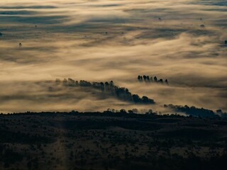 Foggy landscape with trees emerging through the mist