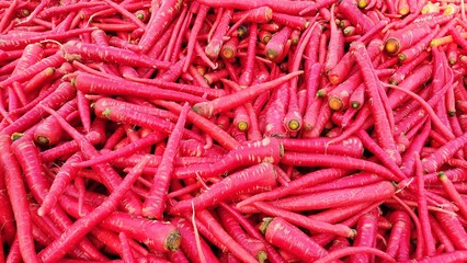 Red juicy carrots, carrot harvesting, 