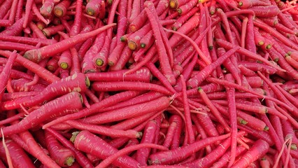 Red juicy carrots, carrot harvesting, 