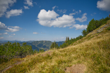 Magnificent view of mountains, Alps in Austria, beautiful green valley with trees and grassy plain