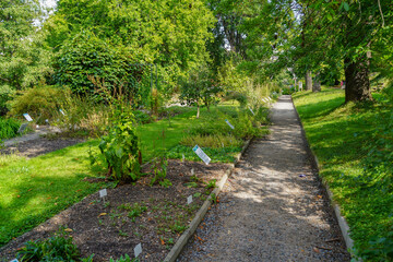 alleys of the Botanical garden of Charle's university in Prague