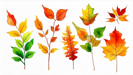 Obraz premium A set of colorful autumn plants with leaves 