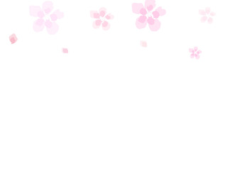 Spring flowers: cherry blossoms and falling petals background-watercolor illustration Beautiful flowers Scaevola simple bloom. Summer daisies