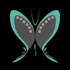 Red butterfly isolated on black background top view.   Butterflies with a pattern. The composition contains flowers. 