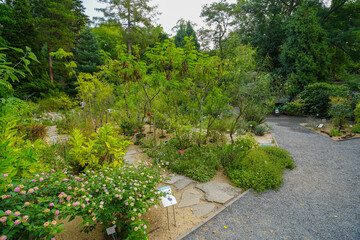 Botanical garden of Charle's university in Prague