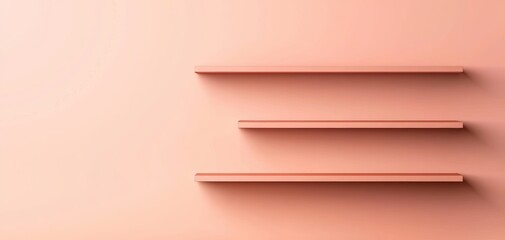 Product shelves with empty spaces, signifying sold-out items, muted color palette, minimalistic, Black Friday clearance, sold-out items visual