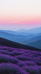 Obraz premium Lavender Field and Mountain Landscape at Dawn.