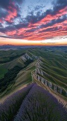 Lavender Fields Sunset.