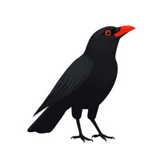 Obraz premium A black crow with a bright red beak and eye. The crow is perched on a white background.