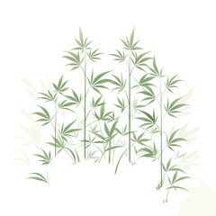 Obraz premium A vibrant cluster of green foliage, possibly ferns or grasses, creates a lush and textured natural background.