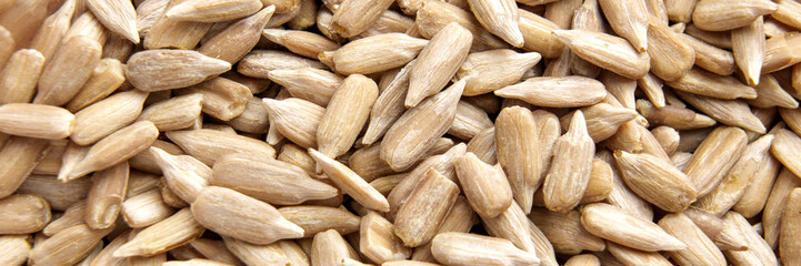Fototapeta premium Raw organic sunflower kernels shelled from husk. Macro