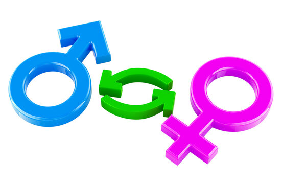 Gender transition, concept. 3D rendering isolated on transparent background