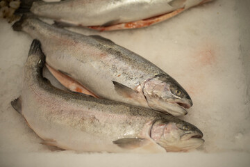 Fish in ice. Fish department in the store. Sale of frozen products.