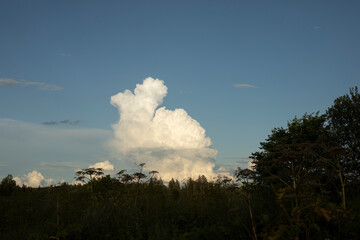 A big cloud in the sky. Cloud over the forest. Landscape with forest.