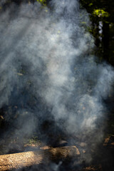 Obraz premium Smoke from the fire. The texture of smoke. Light through the fog. Carbon dioxide.