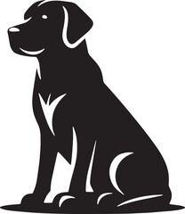 black labrador retriever