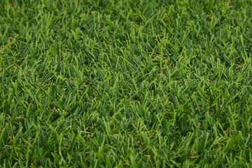 Close-up of artificial grass background