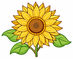 flower vector , sunflower vector on white background 