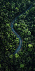 Top down view of curvy, asphalt road surrounded by bunch of evergreen trees. car driving on the road. Beautiful aerial view of dense forest mountain landscape in summer time with curvy road cutting th