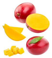 Isolated fresh mango float in the air. Falling mango fruits and mango leaves isolated on white background with clipping path