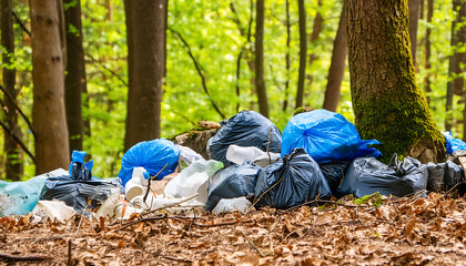 a pile of rubbish in the forest
