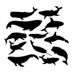 Free Vector Whale Silhouette Collection