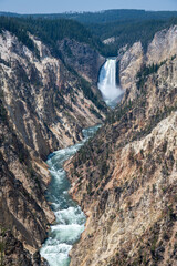 Grand Canyon of the Yellowstone River and Waterfall