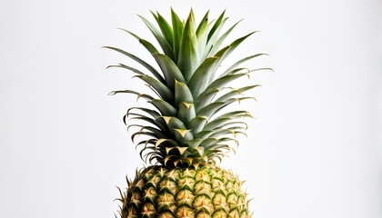 Fototapeta premium A close-up of a pineapple showcasing its vibrant green leaves and textured skin.