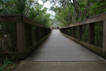 Obraz premium Wide view Leading Lines of a wood nature trail on the left side with handrails. Green trees on both sides of the trail. Bright sunshine and shade. wood boardwalk nature trail with no people. Room for 