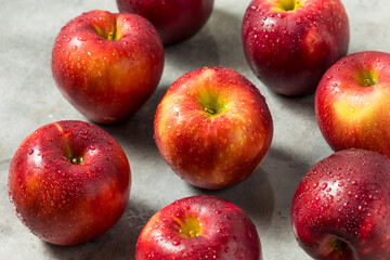 Organic Raw Cosmic Crisp Red Apples