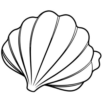recommend clip art: seashell outline coloring book page line art drawing