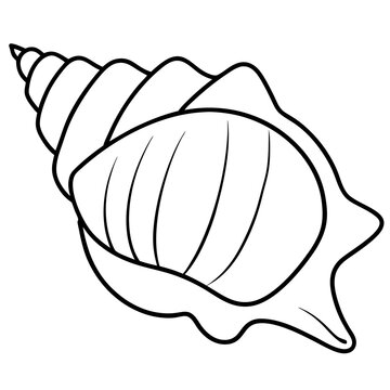 recommend clip art: seashell outline coloring book page line art drawing