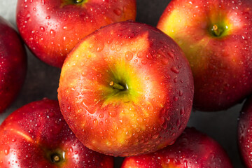 Organic Raw Cosmic Crisp Red Apples