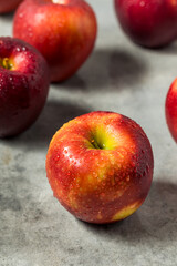 Organic Raw Cosmic Crisp Red Apples