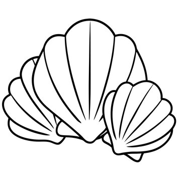 recommend clip art: seashells outline coloring book page line art drawing