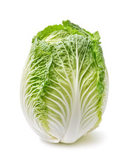 Fototapeta premium Chinese cabbage isolated on white background