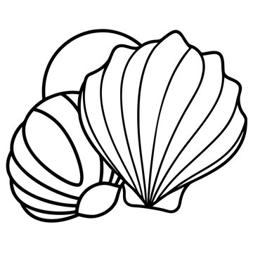 recommend clip art: seashells outline coloring book page line art drawing