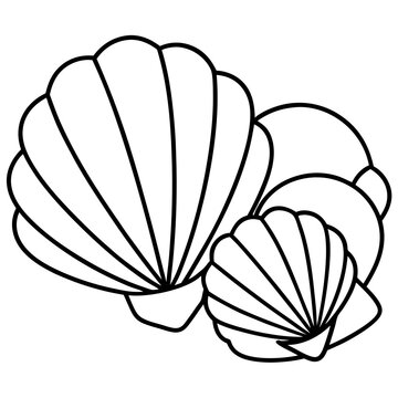 recommend clip art: seashells outline coloring book page line art drawing